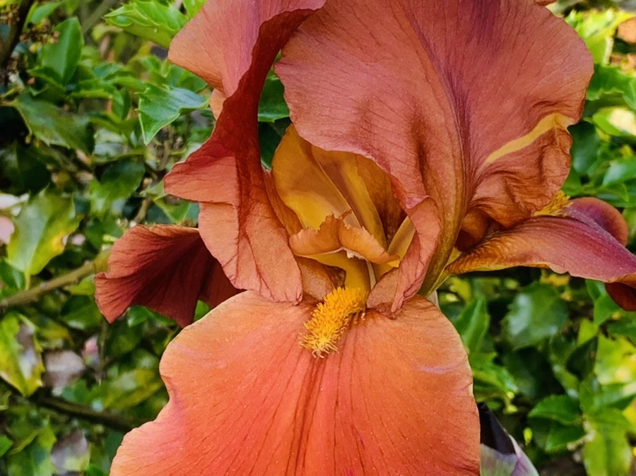 IMG_3327.jpg?type=w966