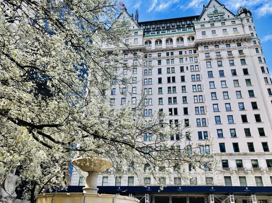 IMG_6685.jpg?type=w966