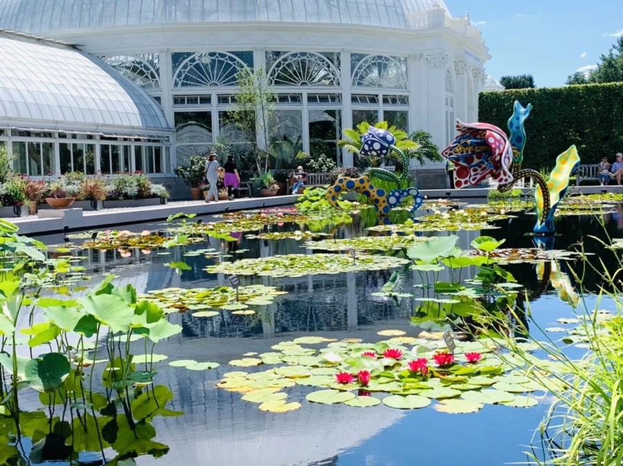 IMG_6640.jpg?type=w966