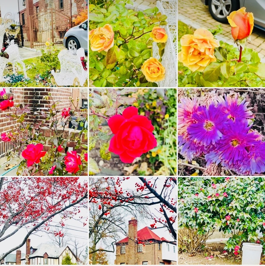 IMG_6223.jpg?type=w966