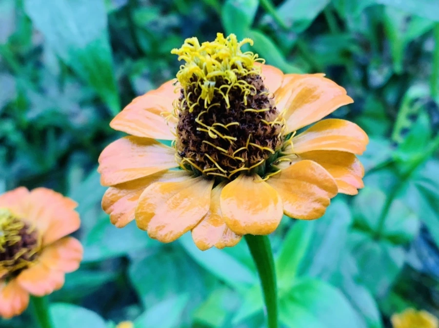 IMG_3670.jpg?type=w966