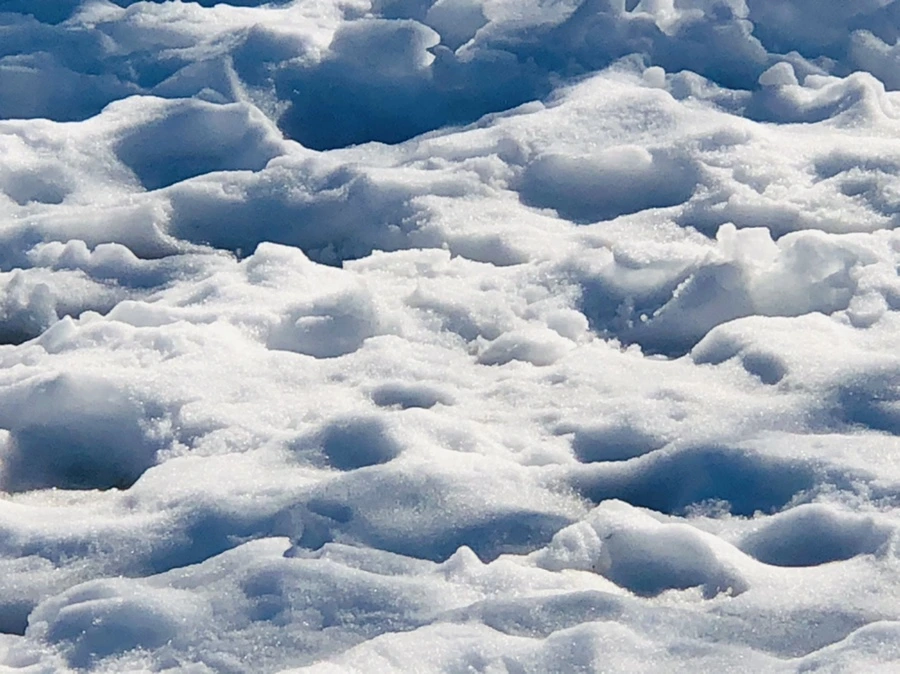 IMG_2994.jpg?type=w966