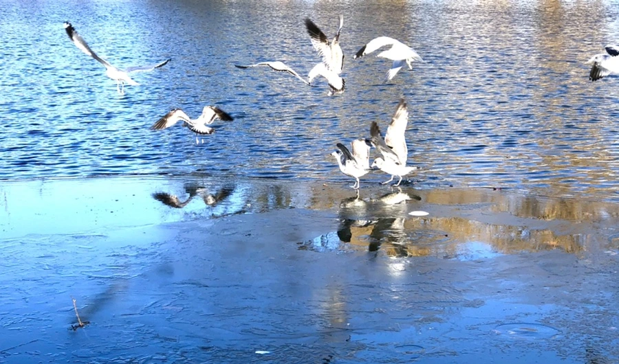 IMG_0535.jpg?type=w966