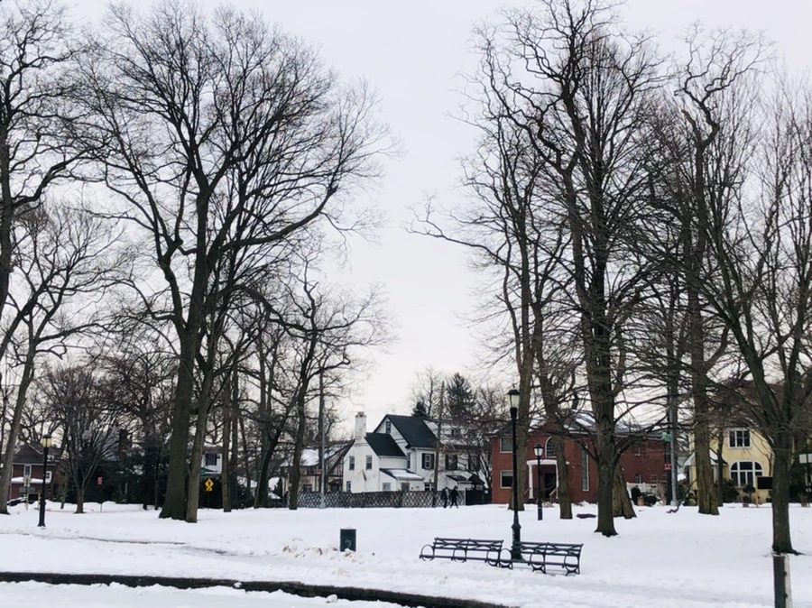 IMG_4383.jpg?type=w966