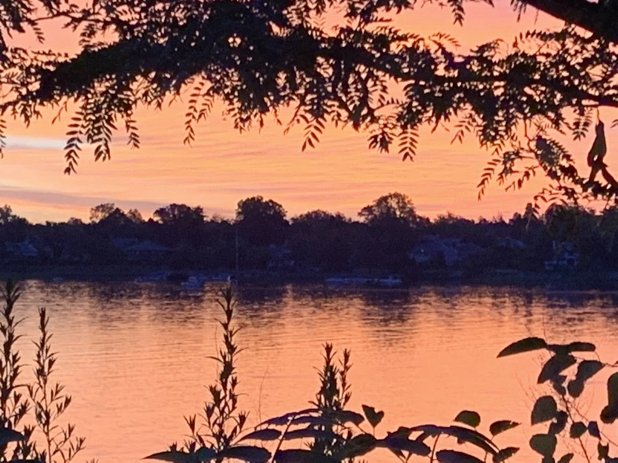 IMG_5836.jpg?type=w966