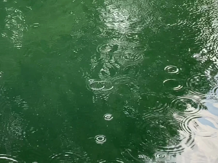 IMG_1716.jpg?type=w966