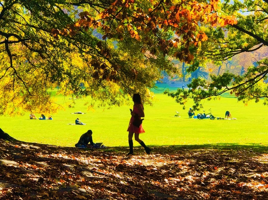 IMG_4338.jpg?type=w966