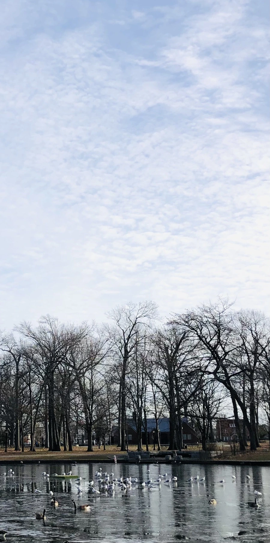 IMG_8466.jpg?type=w966