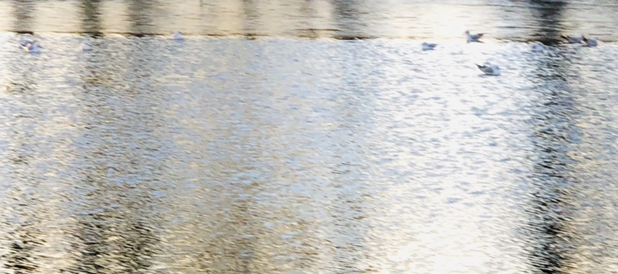 IMG_0804.jpg?type=w966