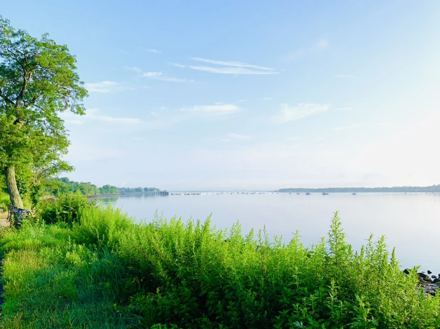 IMG_4341.jpg?type=w966