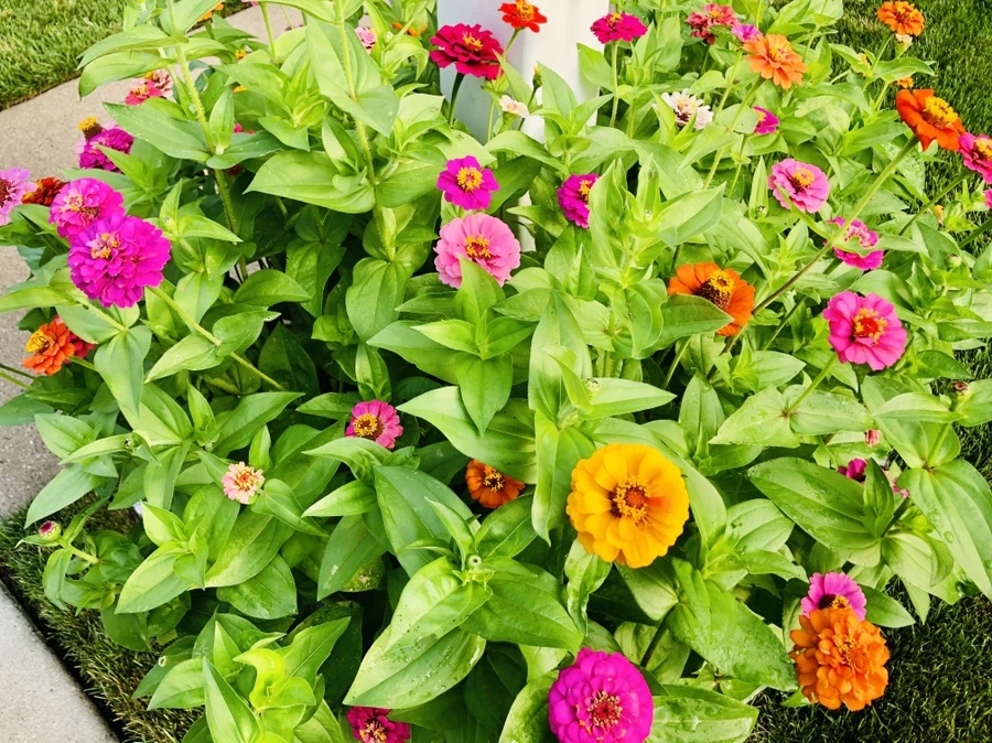 IMG_1797.jpg?type=w966