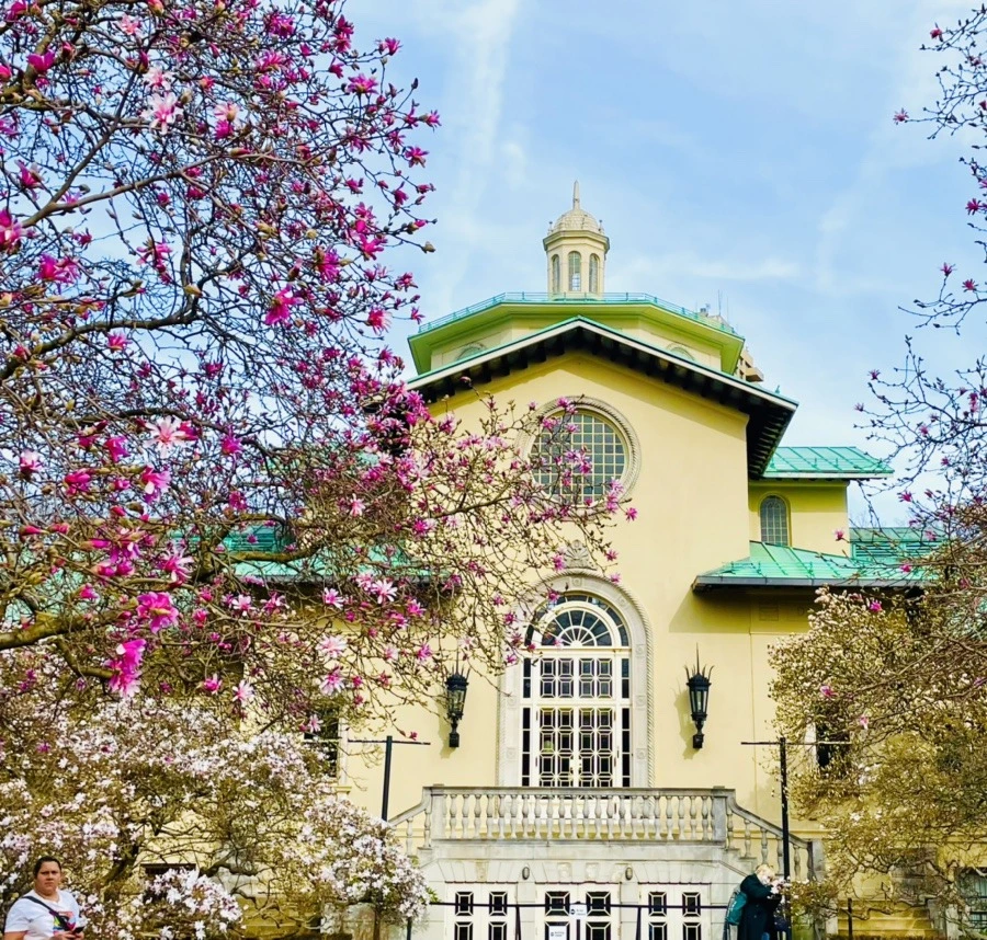 ithOWzT2LX_1w4h7_RjxXEiJYDA