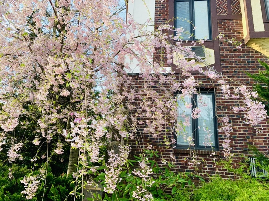 IMG_3772.jpg?type=w966