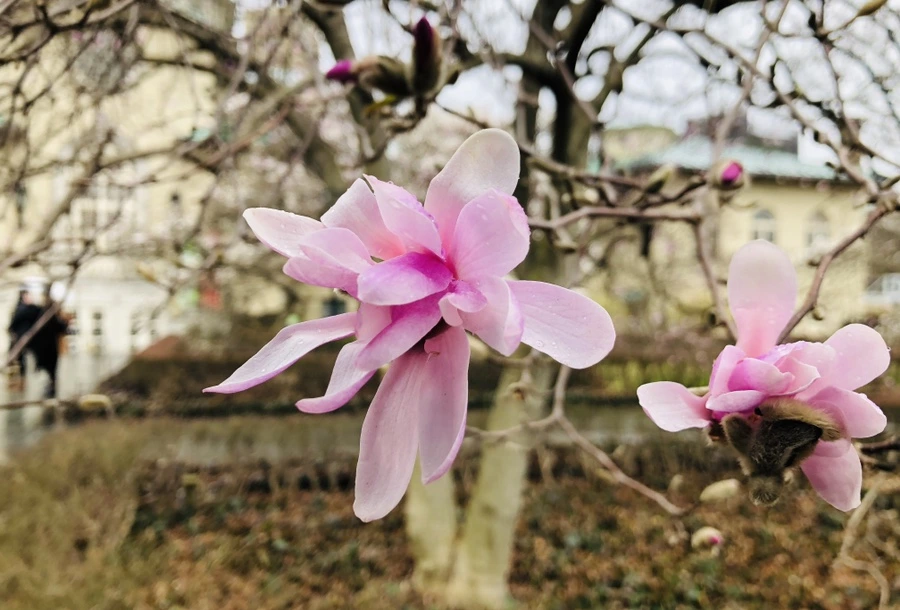 IMG_2383.jpg?type=w966