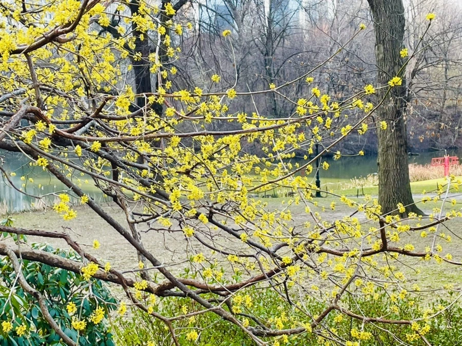 IMG_5397.jpg?type=w966