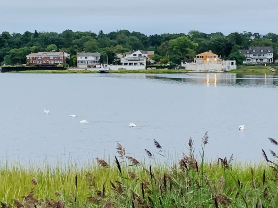 IMG_6175.jpg?type=w966