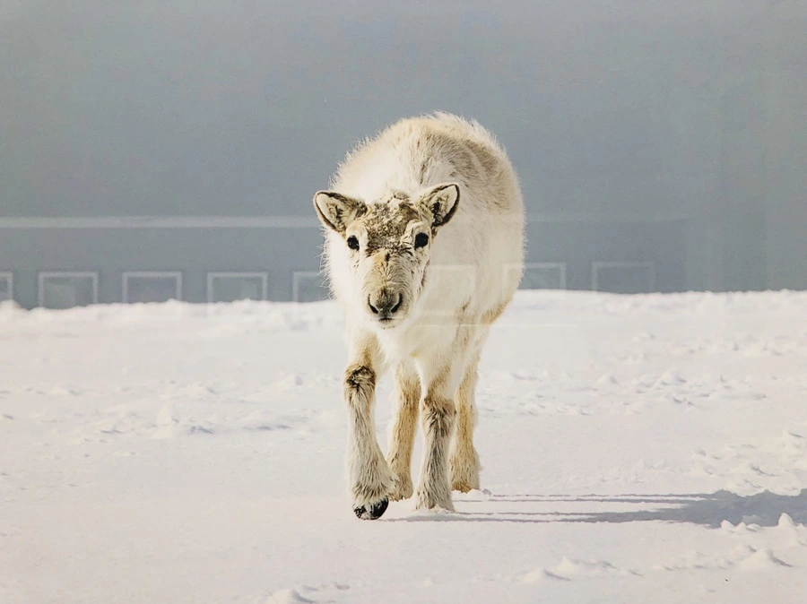 IMG_0067.jpg?type=w966