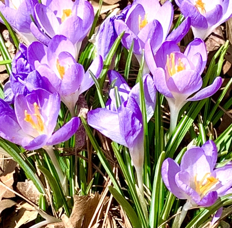 IMG_1273.jpg?type=w966