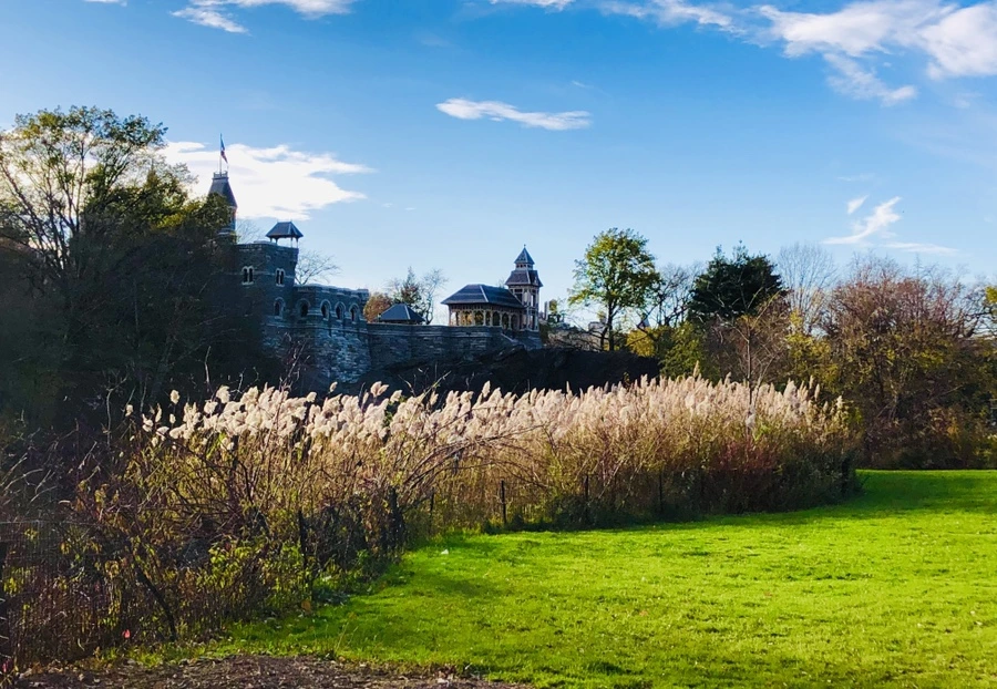 IMG_5003.jpg?type=w966