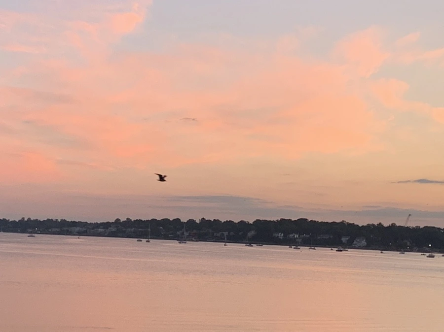 IMG_8744.jpg?type=w966