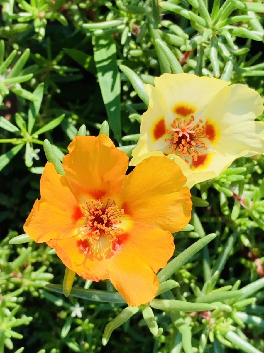 IMG_8402.jpg?type=w966