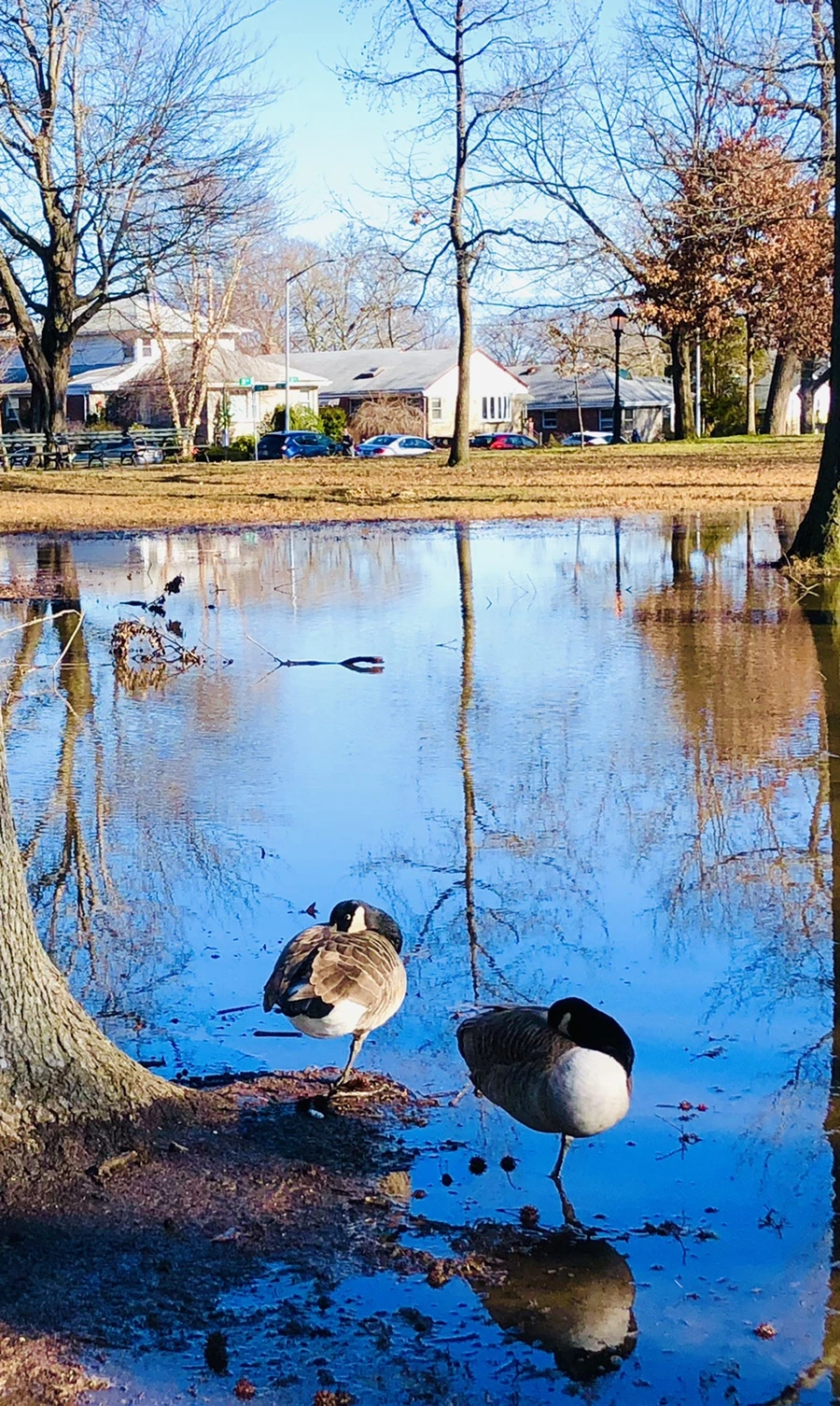 IMG_9789.jpg?type=w966