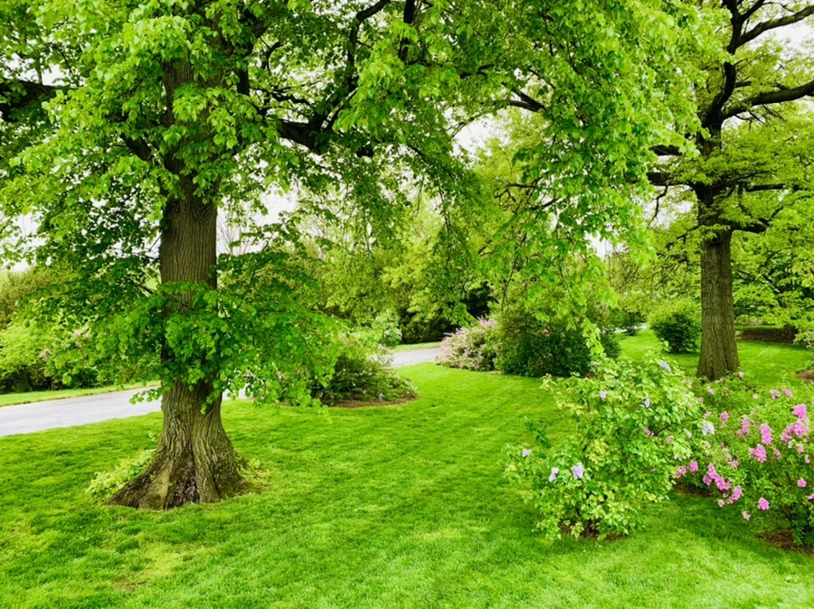 IMG_0065.jpg?type=w966