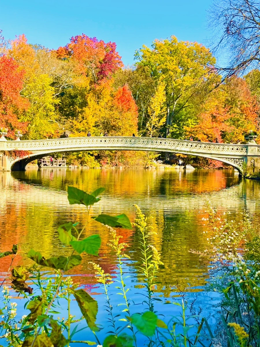 IMG_1660.jpg?type=w966