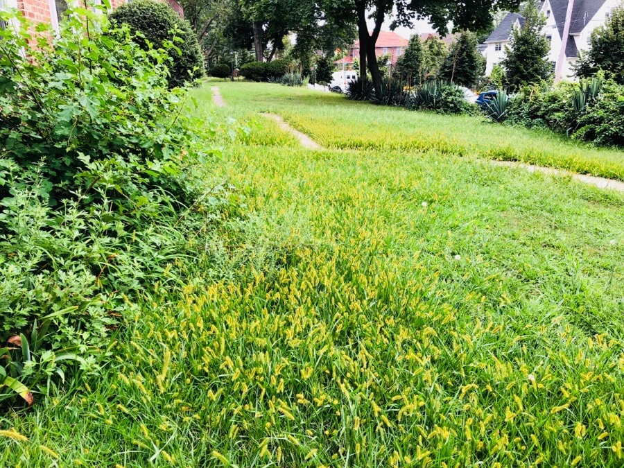 IMG_4305.jpg?type=w966