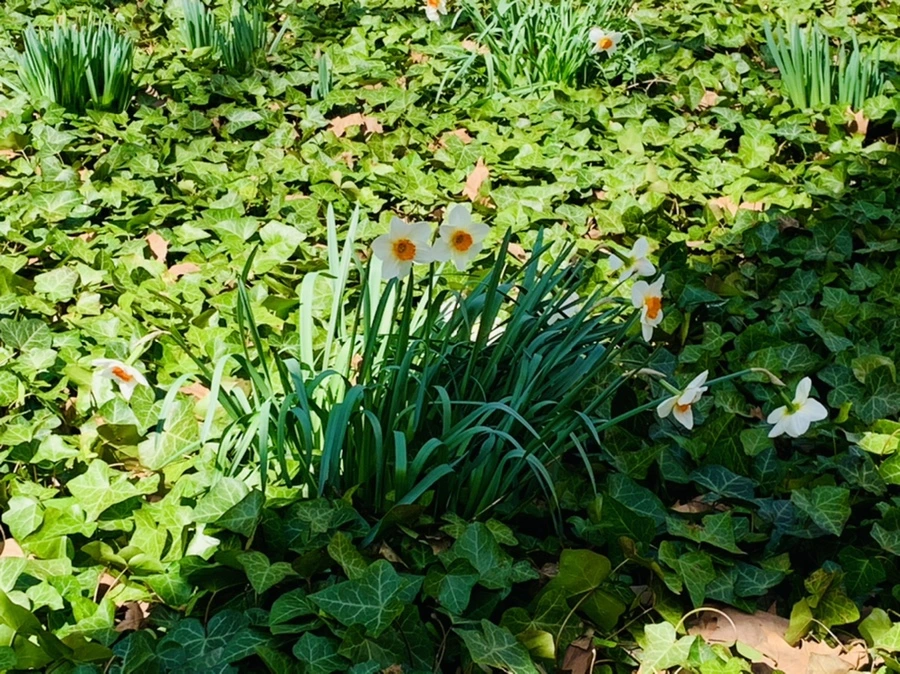 IMG_4628.jpg?type=w966