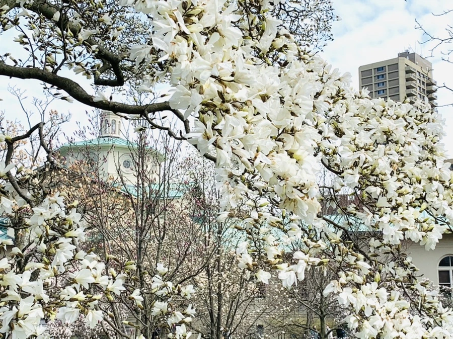 IMG_7254.jpg?type=w966