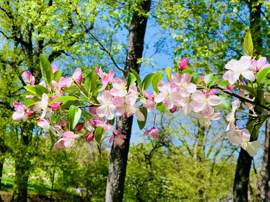 IMG_5716.jpg?type=w966