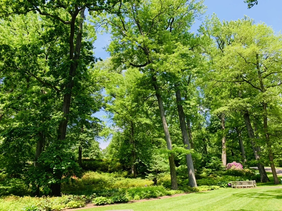 IMG_8442.jpg?type=w966