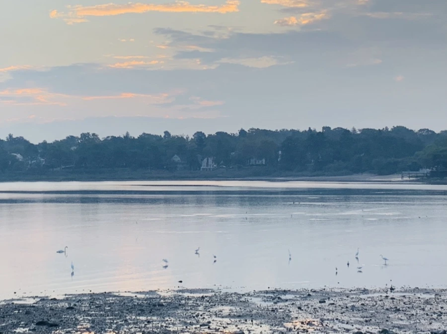 IMG_8175.jpg?type=w966