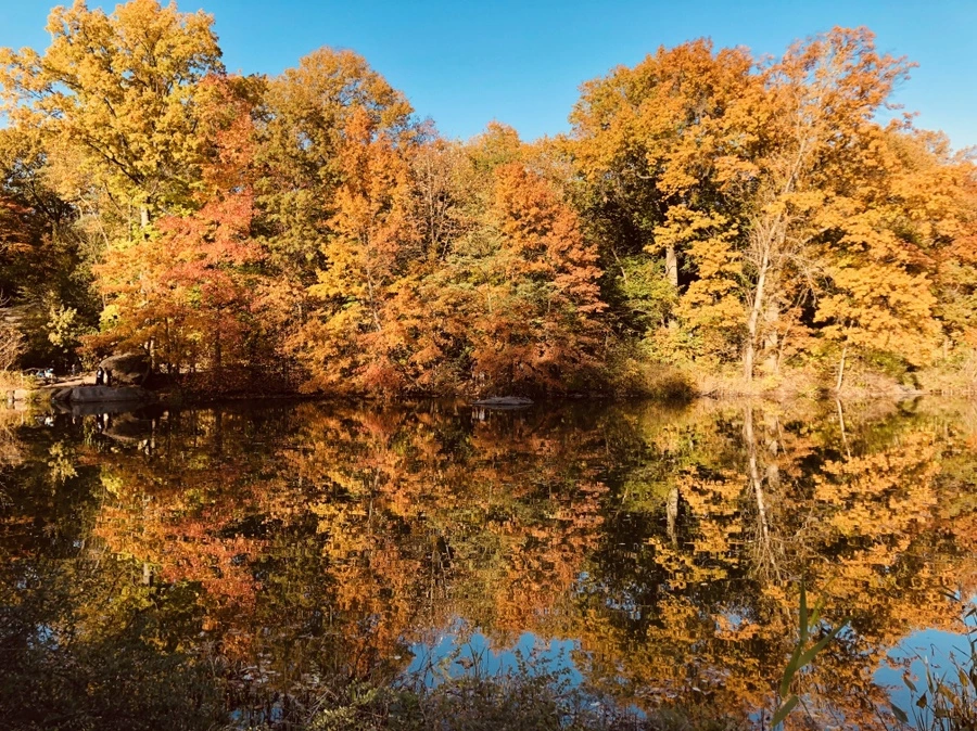 IMG_3589.jpg?type=w966