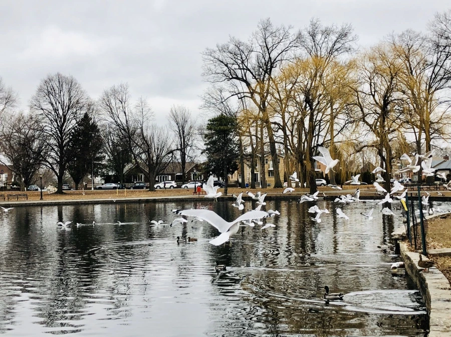 IMG_3469.jpg?type=w966