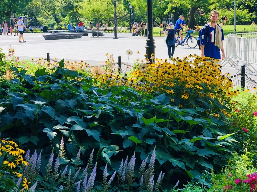 IMG_5460.jpg?type=w966