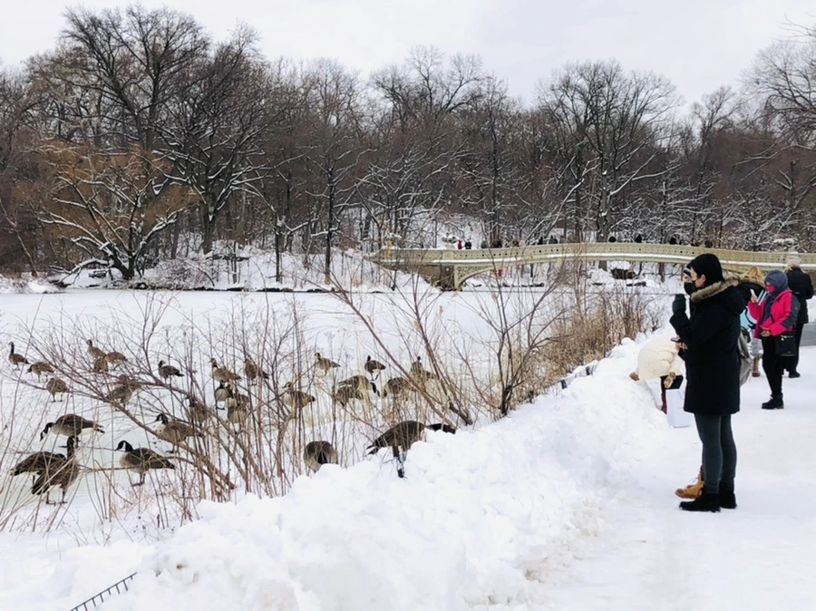 IMG_9495.jpg?type=w966