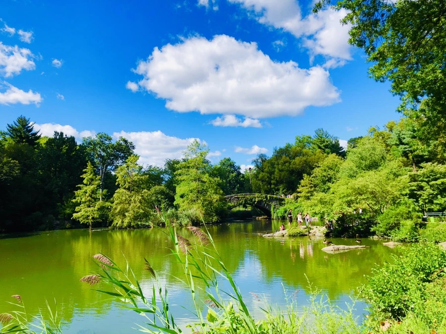 IMG_8859.jpg?type=w966