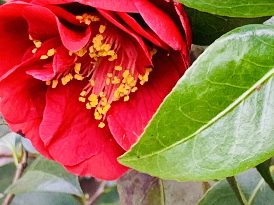 IMG_6628.jpg?type=w966