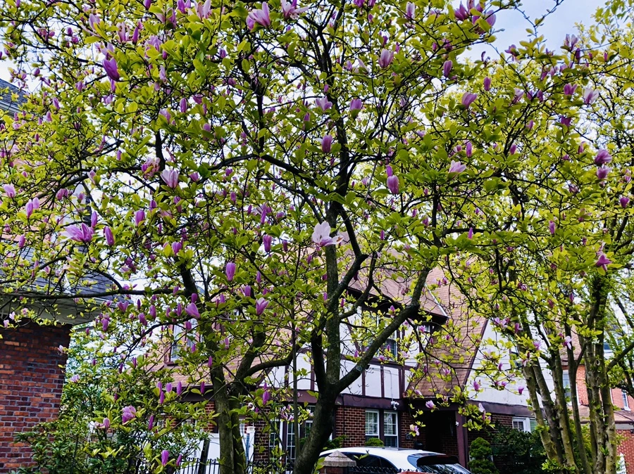 IMG_7271.jpg?type=w966