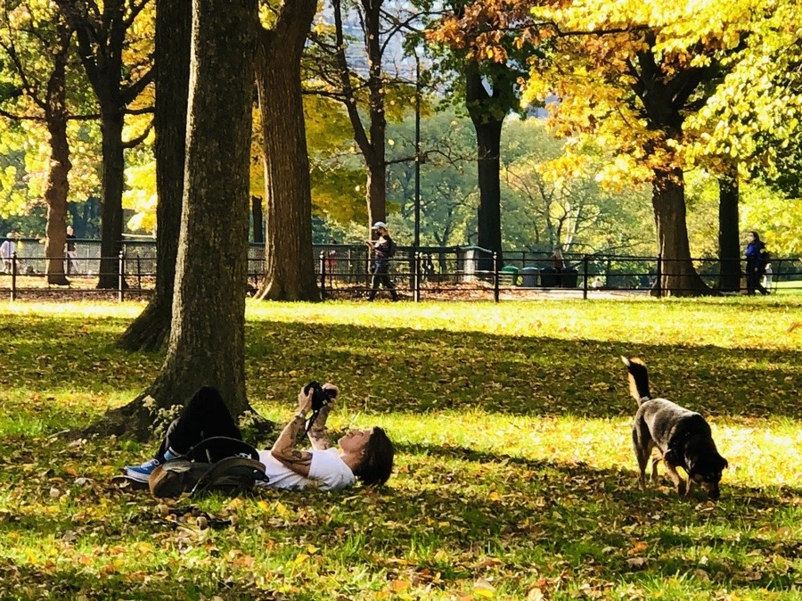 P7-b1xPLRyXJKXz4fVSAs5YjDEA