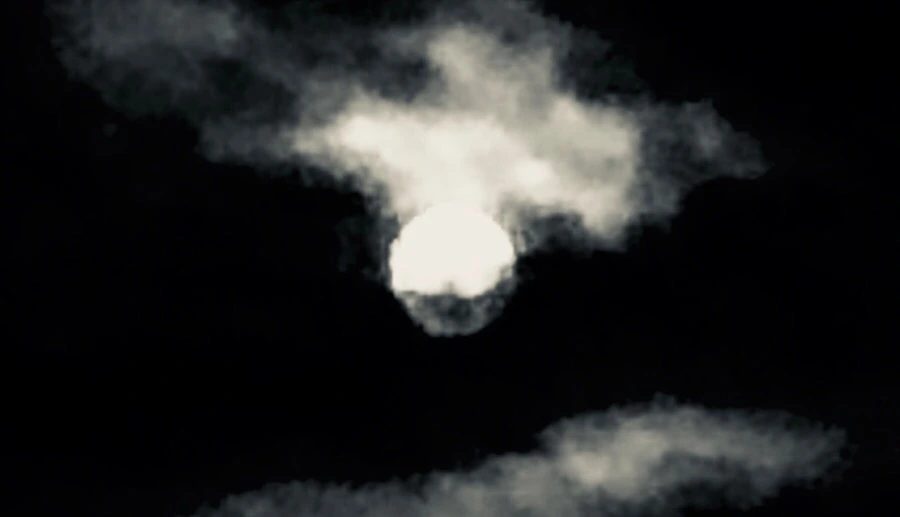 IMG_6131.jpg?type=w966