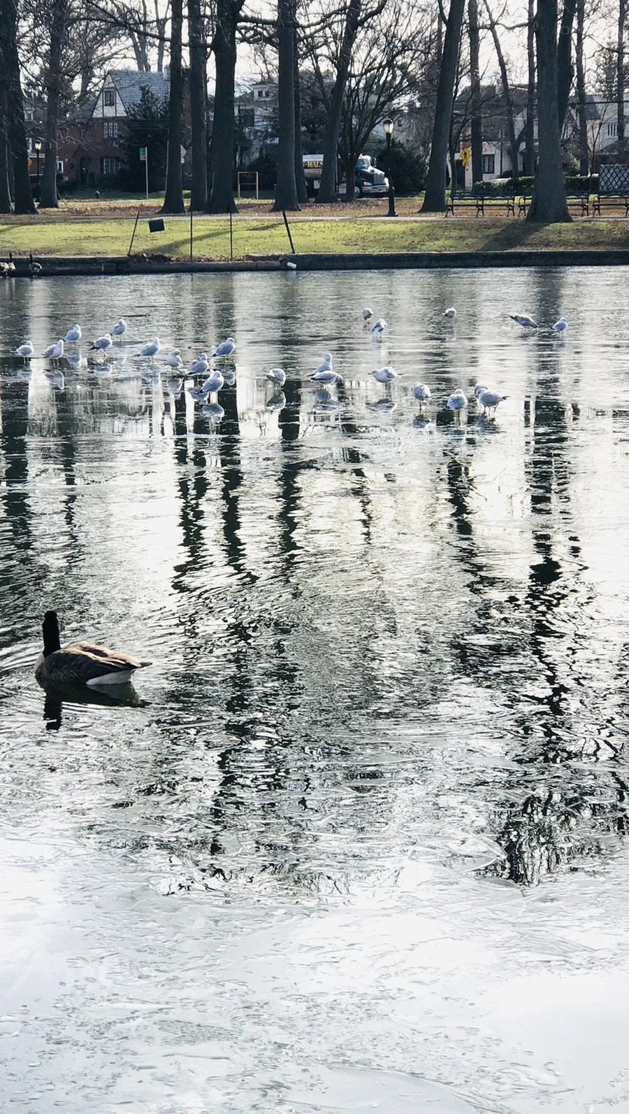 IMG_8458.jpg?type=w966