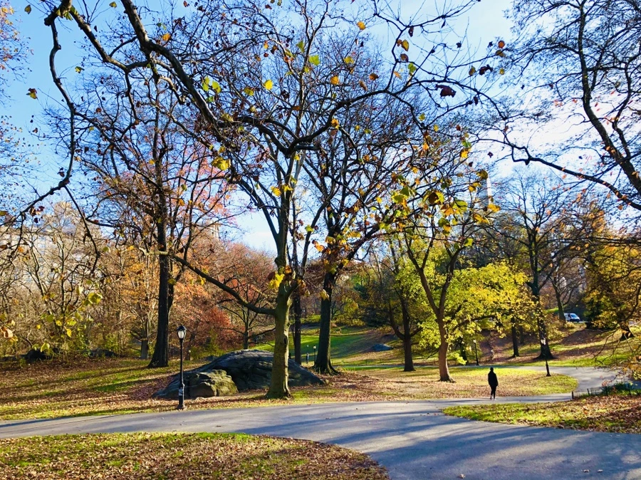 IMG_5334.jpg?type=w966