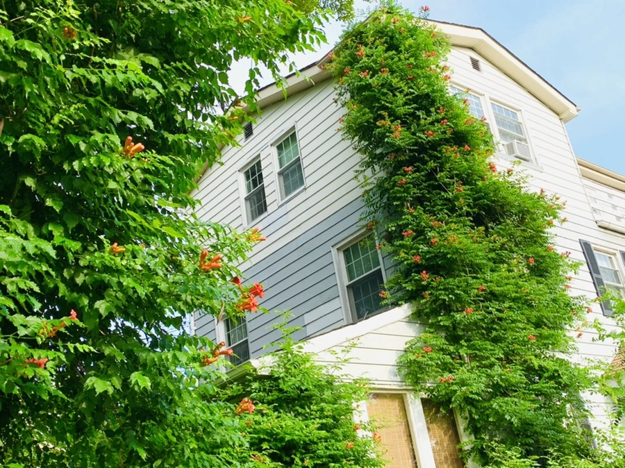 IMG_5714.jpg?type=w966