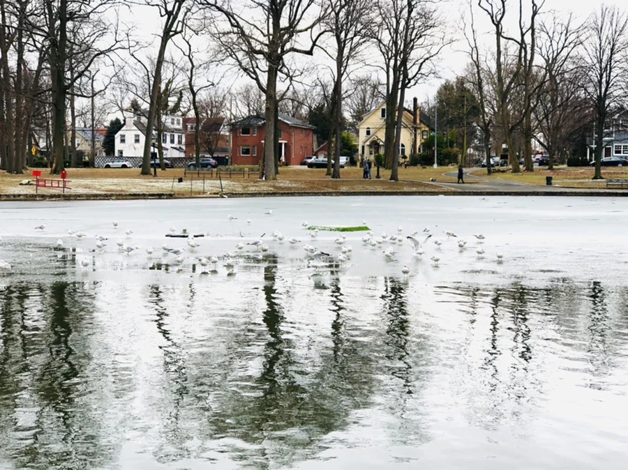 IMG_6408.jpg?type=w966