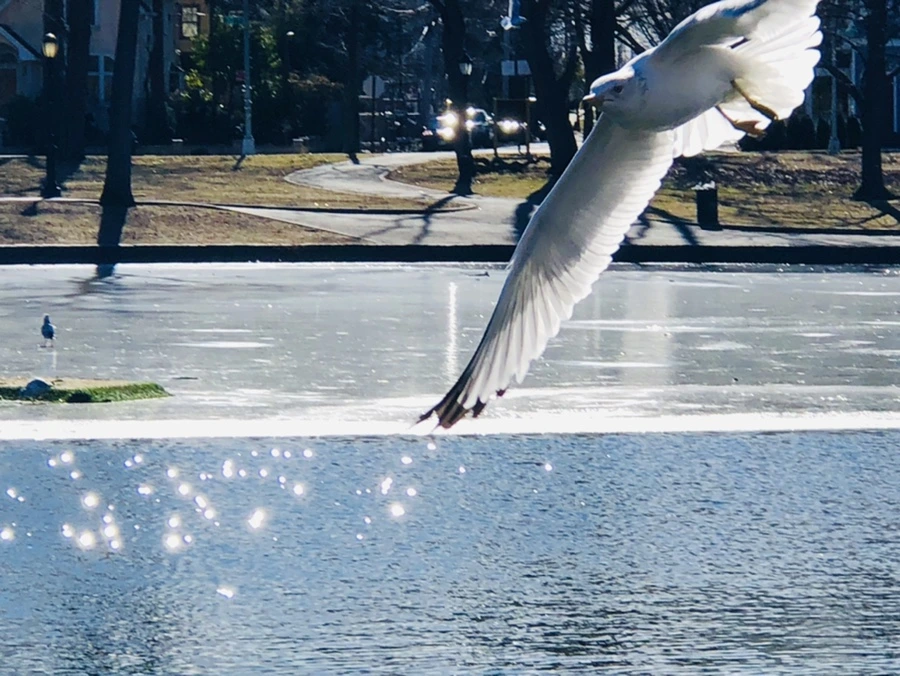 IMG_5353.jpg?type=w966