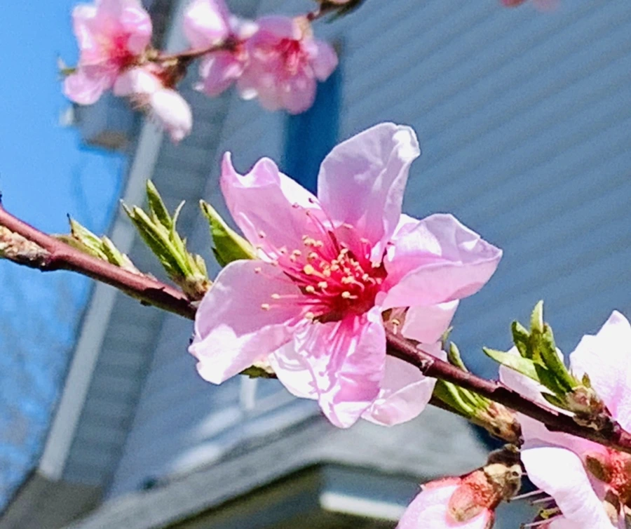 IMG_8180.jpg?type=w966