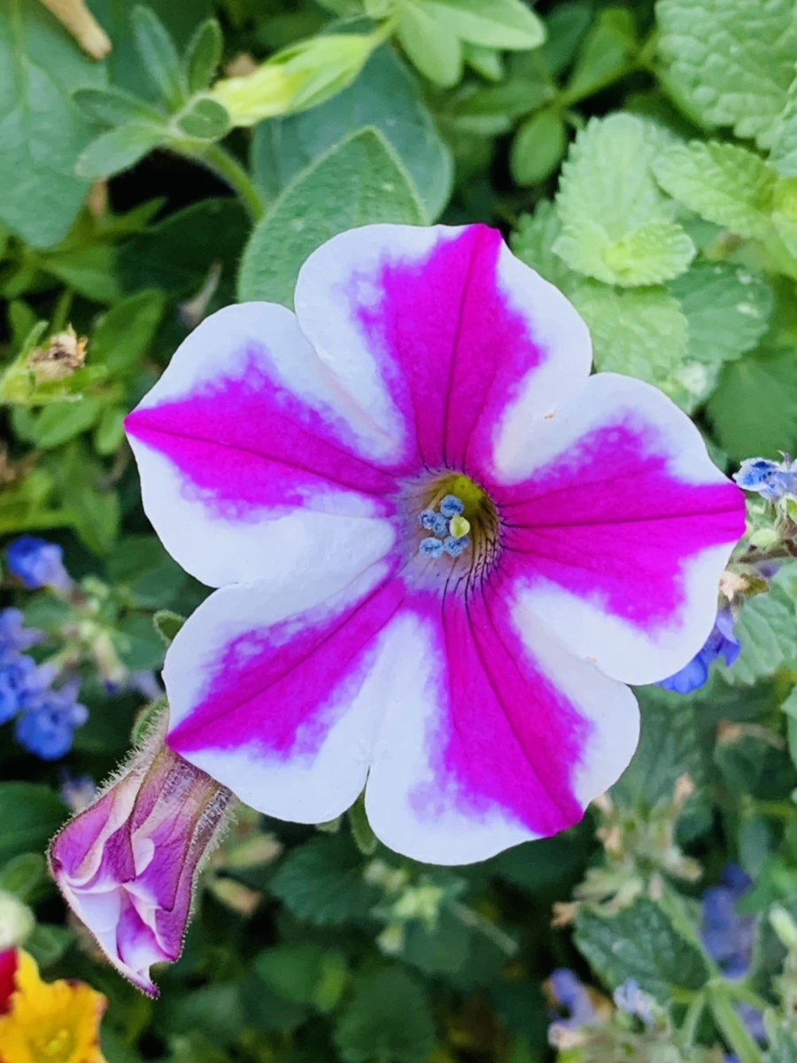 IMG_5305.jpg?type=w966